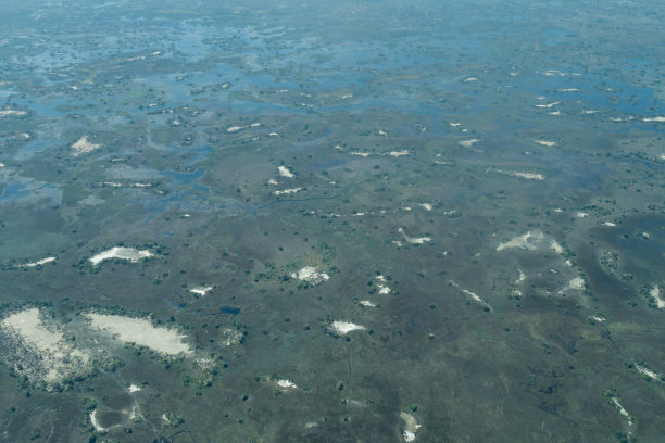 delta