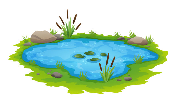 ponds