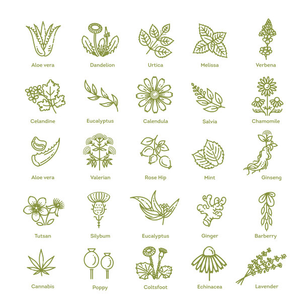 botanical