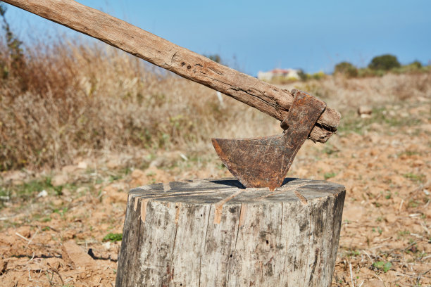 axe
