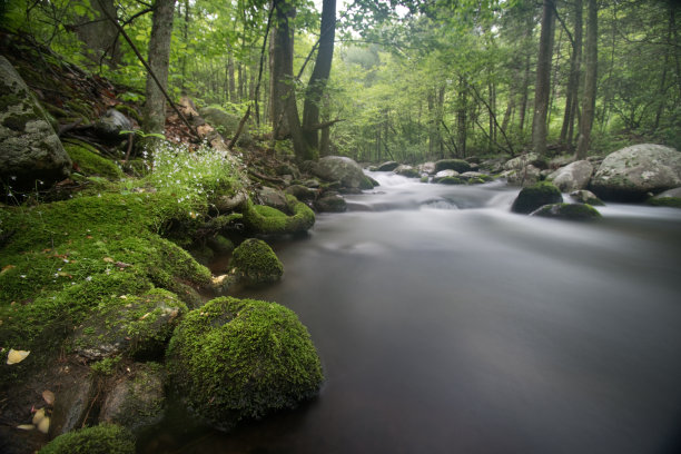 shenandoah