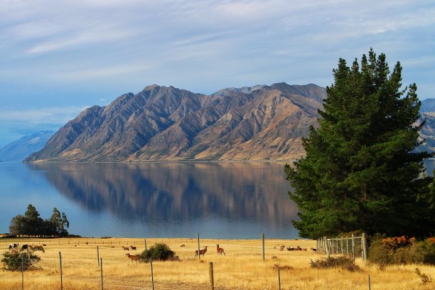 hawea