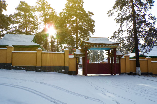 上海街道雪景