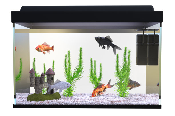 aquarium