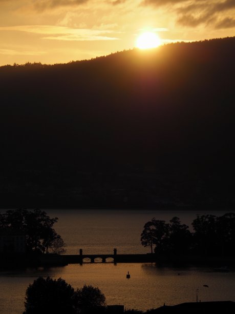 vigo