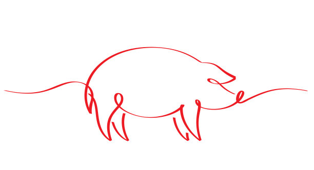 pig