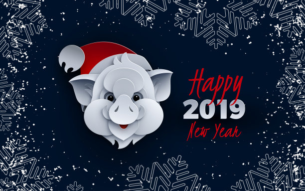 2019猪年海报设计