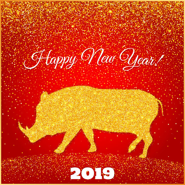 2019猪年春节海报