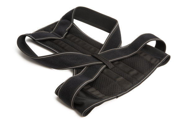 girdle