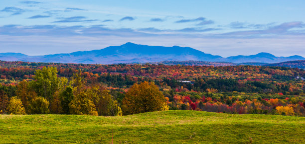 vt