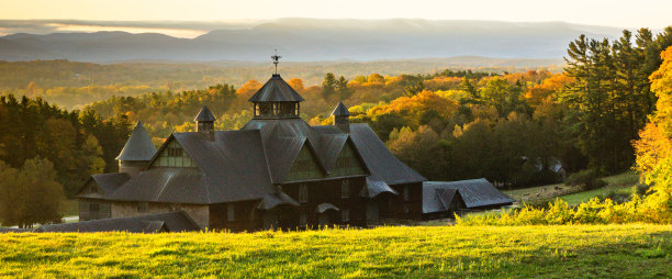 vt