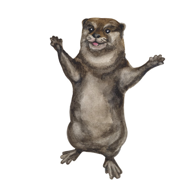 可爱水獭卡通图案背景