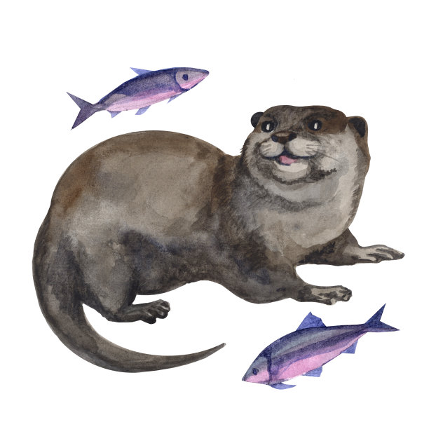 可爱水獭卡通图案背景