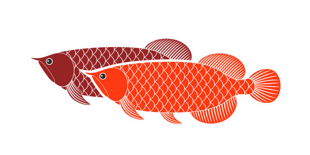 arowana