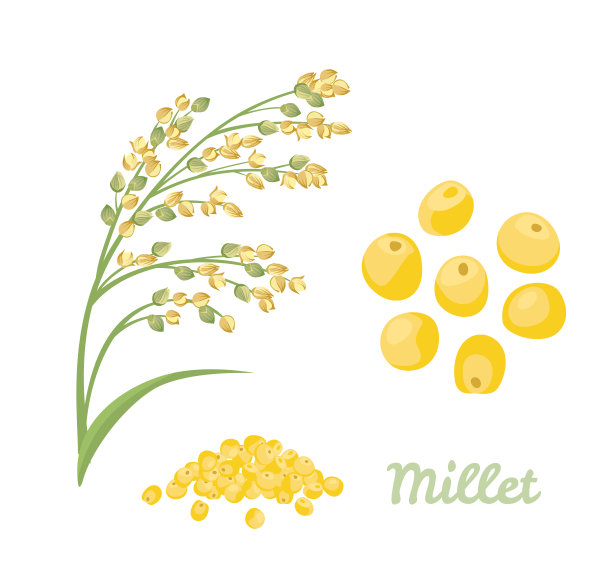 millet