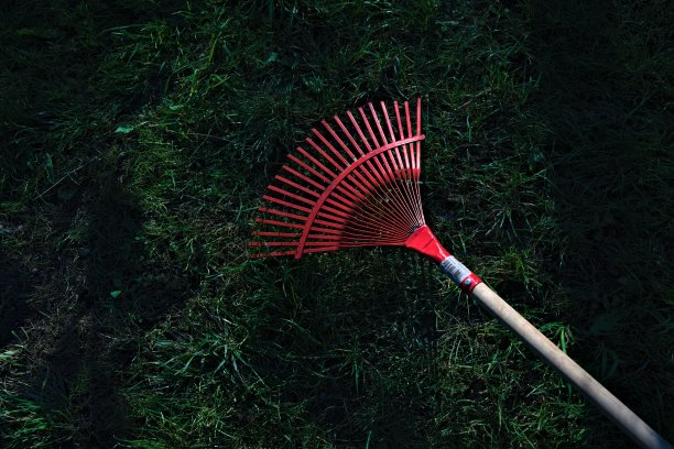 rake