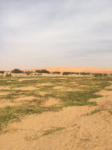 ground