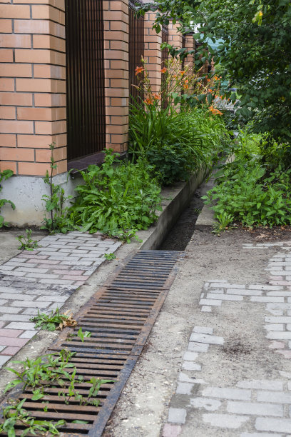 ditch