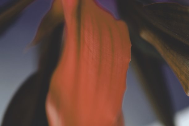 红黑色暗调抽象背景