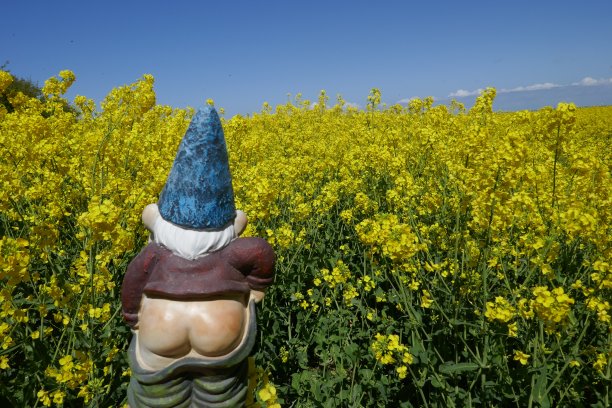 mooning