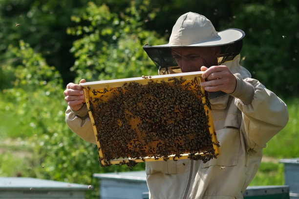 beekeeper