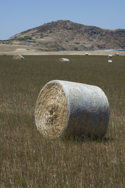 bale