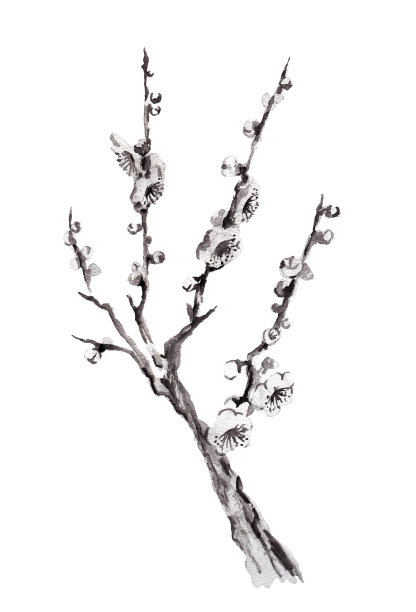 春夏秋冬水墨画