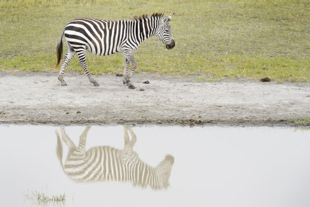 reflections