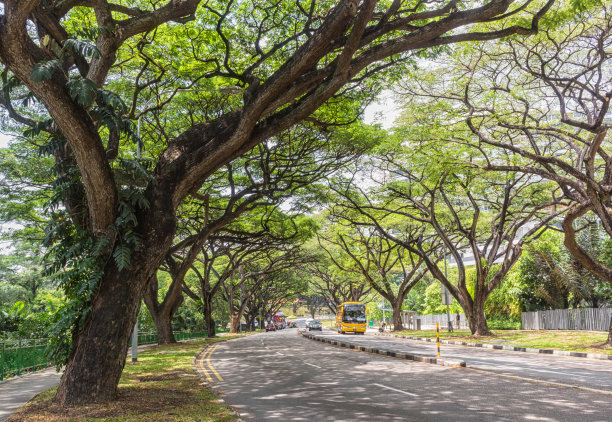 avenue