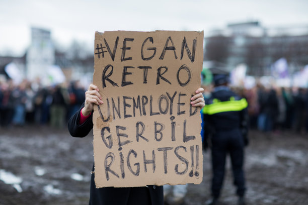 demo