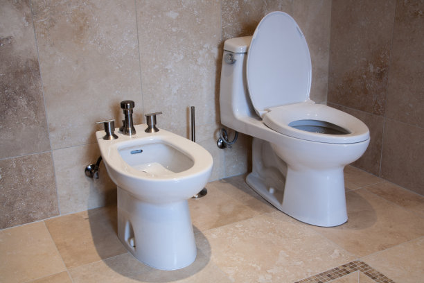 bidet