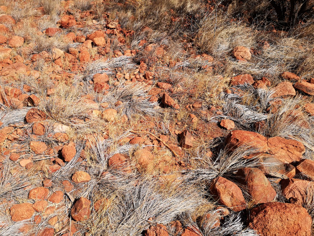 katatjuta