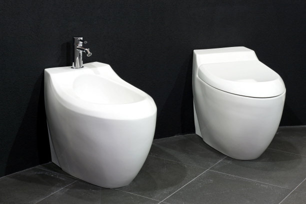 bidet