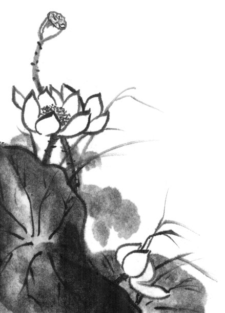 水墨画荷花