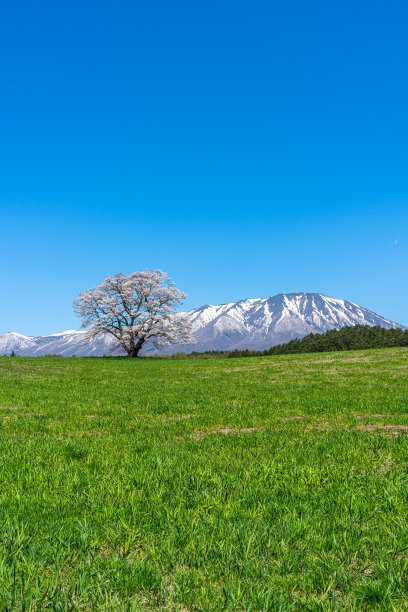 一个物体,背景分离,雪山