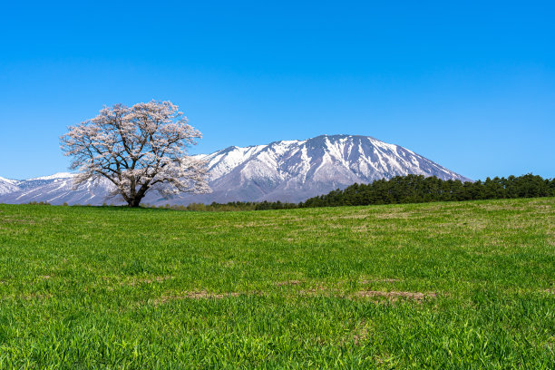 一个物体,背景分离,雪山