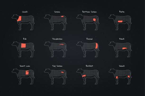 bull