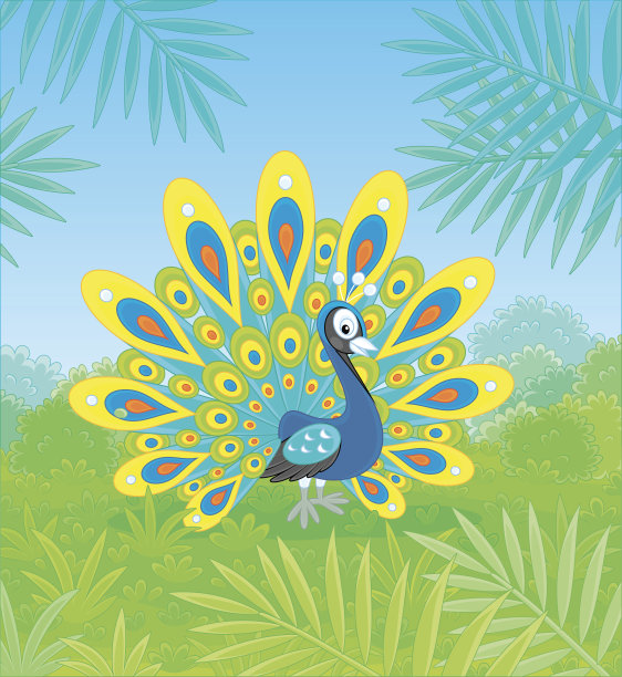 华丽的,热带气候,野生动物