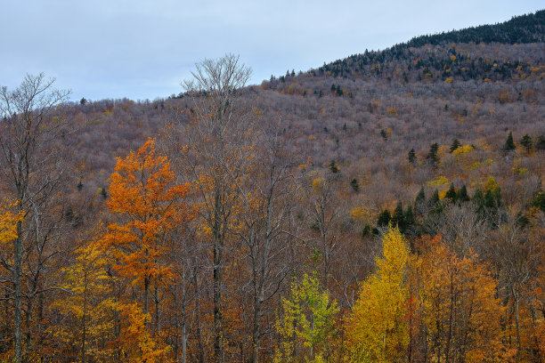 stowe