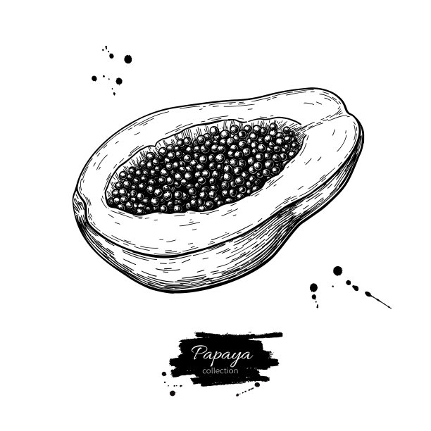 papaya