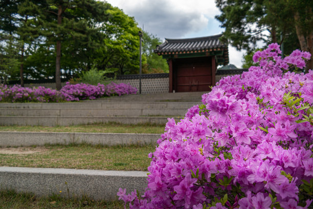 韩国首尔景福宫花园