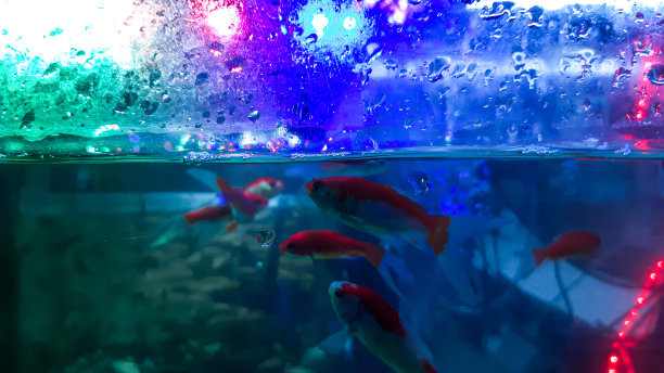 水草水花
