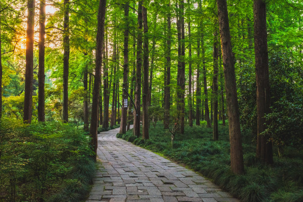 杭州背景板