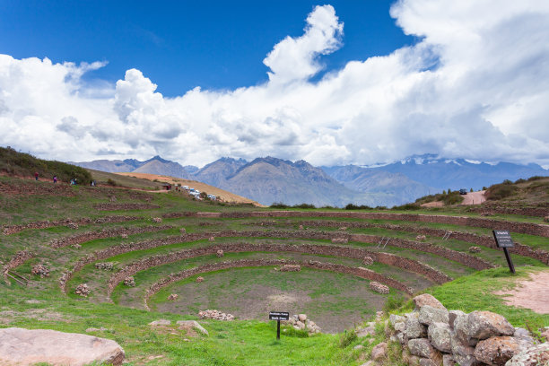 moray