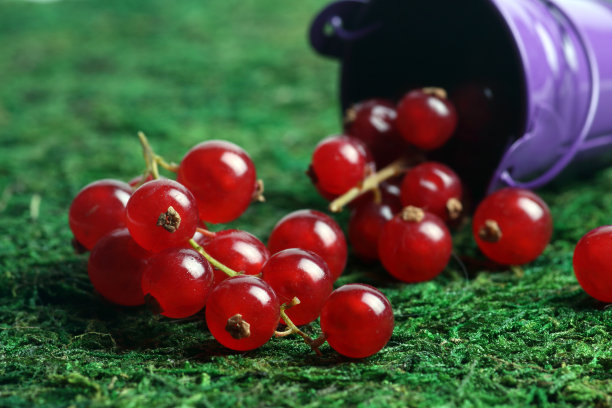 redcurrant