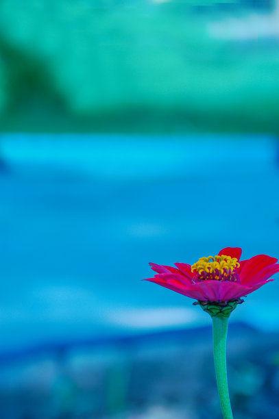 谷雨节日海报