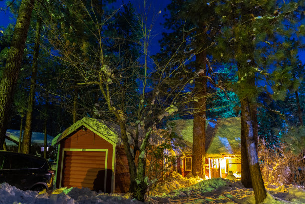 雪中松树下的小木屋