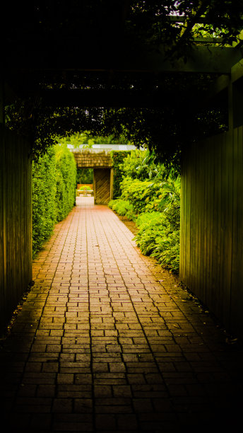 植物隧道