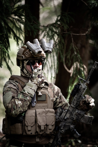 sas
