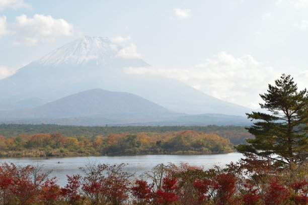 远山与树枝